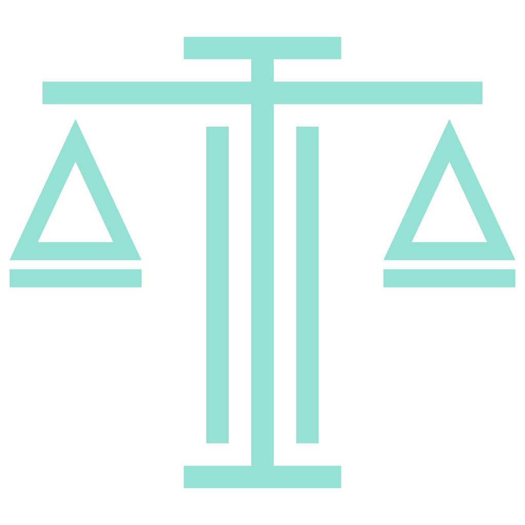 compliance icon
